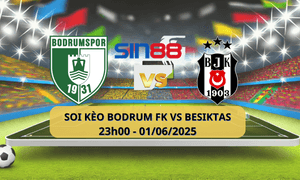 Bodrumspor Besiktas